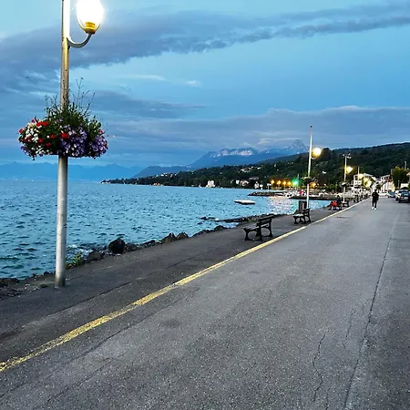 Appartement Residence Du Lac Leman Terasse-Wifi-Netflix-Parking Amphion-les-Bains Extérieur photo
