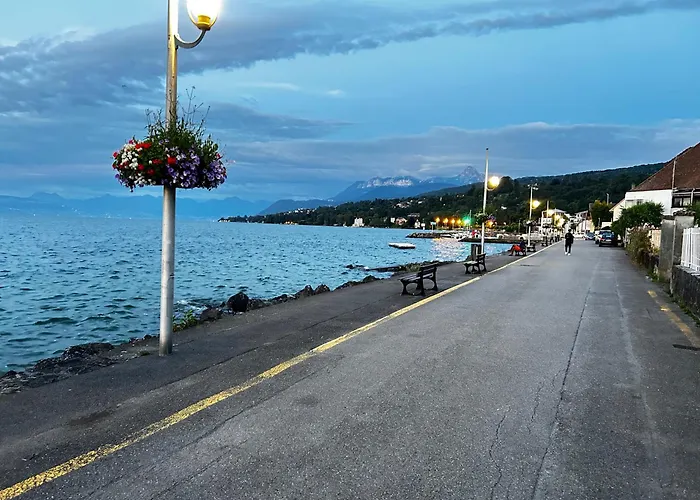 Appartement Residence Du Lac Leman Terasse-Wifi-Netflix-Parking