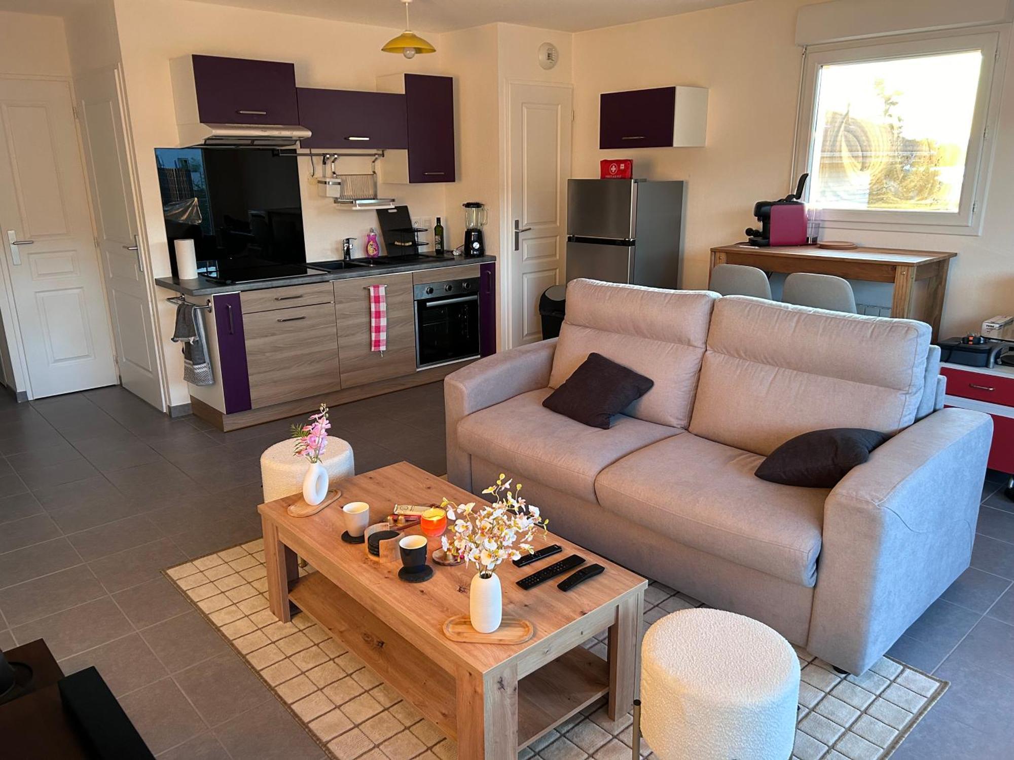 Du Leman Terasse-wifi-netflix-parking Publier