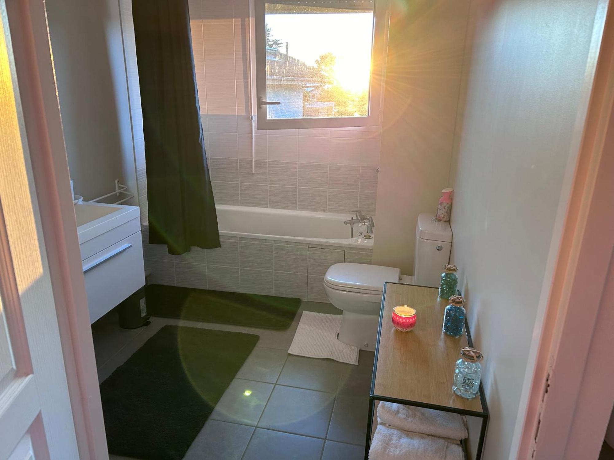 Apartment Du Leman Terasse-wifi-netflix-parking